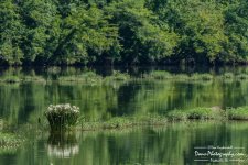 05-23-2018_0030-Edit.jpg