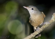 DSC_6008.jpg