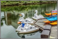 DSC_0096-Edit.jpg