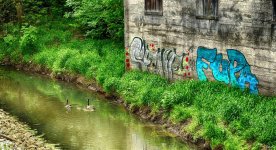 DSC_1680_HDR_01_01.jpg