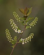 _DSF7197.jpg