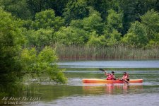 DSC_0003 low res.jpg