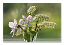 Fleurs du matin.jpg