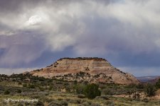 DSC_6174.jpg