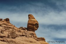 DSC_6364.jpg