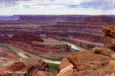 DSC_6058.jpg