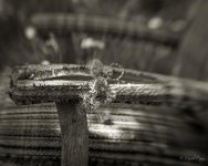 DSC_3089.jpg