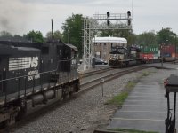 DSC_0780.JPG