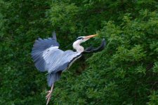 DSC_0724.jpg
