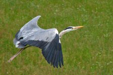 DSC_0731.jpg
