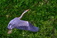 DSC_0735.jpg