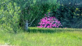 DSC_0139.jpg