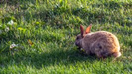 DSC_9818.jpg