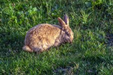 DSC_9820.jpg