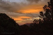 05-29-18-cr__7506119.jpg