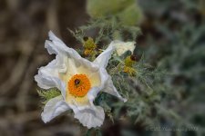 06-02-18-cr__7506156.jpg