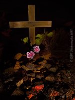 06-03-18-cr__7506181.jpg