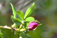 05-27-18-cr__7506105.jpg
