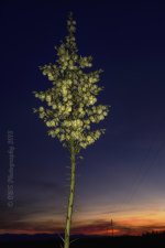 06-04-18-cr__7506200.jpg
