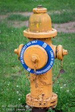 DSC_0106 low res.jpg