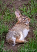 DSC_0123 low res.jpg