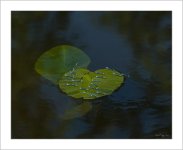 MCA_7014-Modifier.jpg
