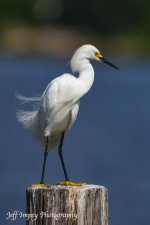 DSC_6873.jpg