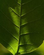D72_3073.jpg