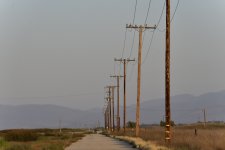 _ROY0240.JPG