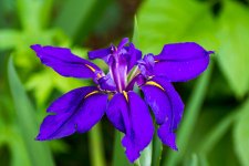 RLW_8128.jpg