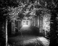 Brick pillar tree tunnel.jpg