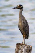 DSC_7192.jpg