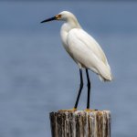 DSC_7189.jpg