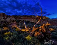 W_DSC_9391_V2.jpg