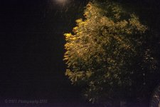 06-15-18-cr__D7K9348.jpg