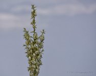 06-16-18-cr__D7K9357.jpg