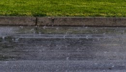 June17.jpg