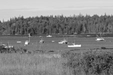 _DSC8919.jpg