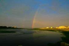 DSC_8394.jpg