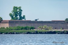 D73_1842.jpg