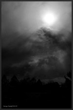 Day112SunsetBW.jpg