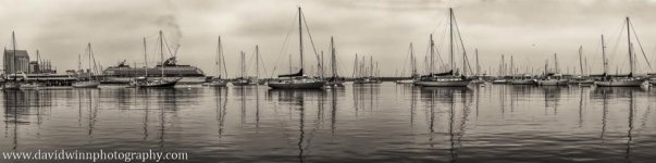 DW1_7704-pan2SBWSep.jpg