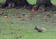 DSC_0783.jpg