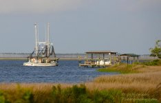 DSC_0743.jpg