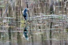 DSC_6218.jpg