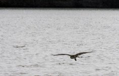 DSCN9219.jpg
