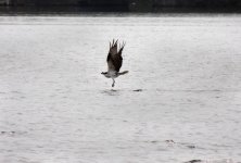 DSCN9220.jpg