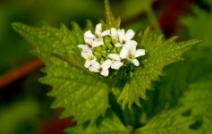 DSC_0056.jpg
