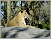600zoo 016.jpg