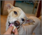DSC_0120_WLP.jpg